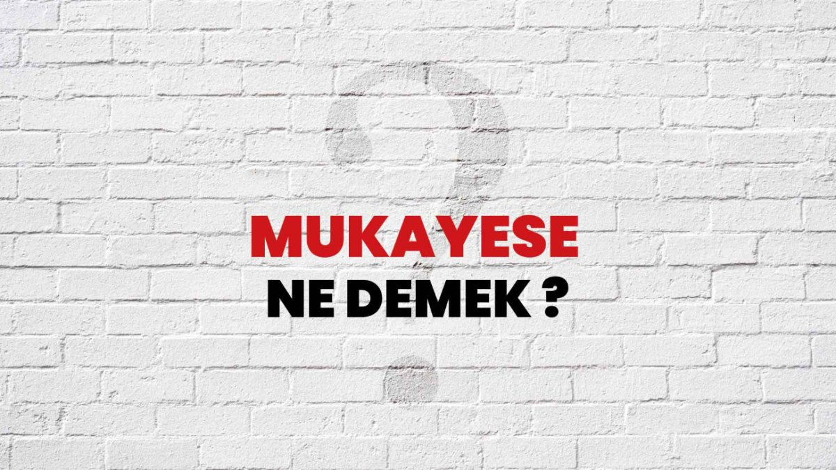 Mukayese Ne Demek? - Bir Karşılaştırma Analizi
