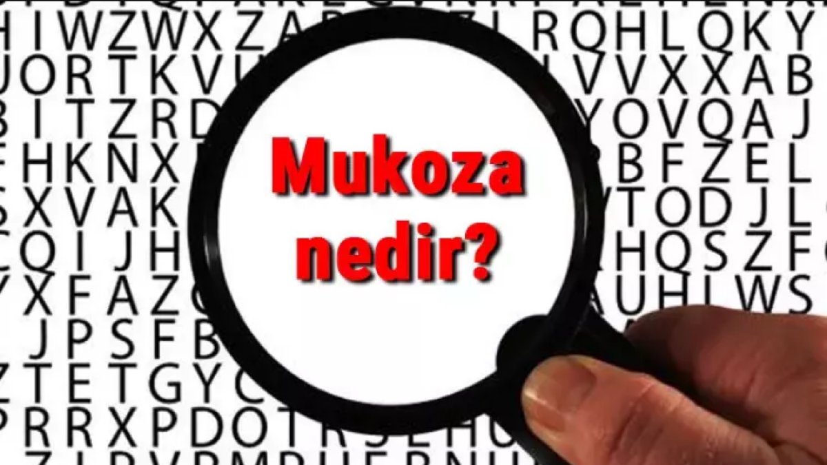 Mukoza Nedir? - Vücudun Savunma Sistemi Hakkında Bilmeniz Gerekenler