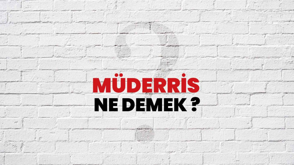 Müderris Ne Demek?