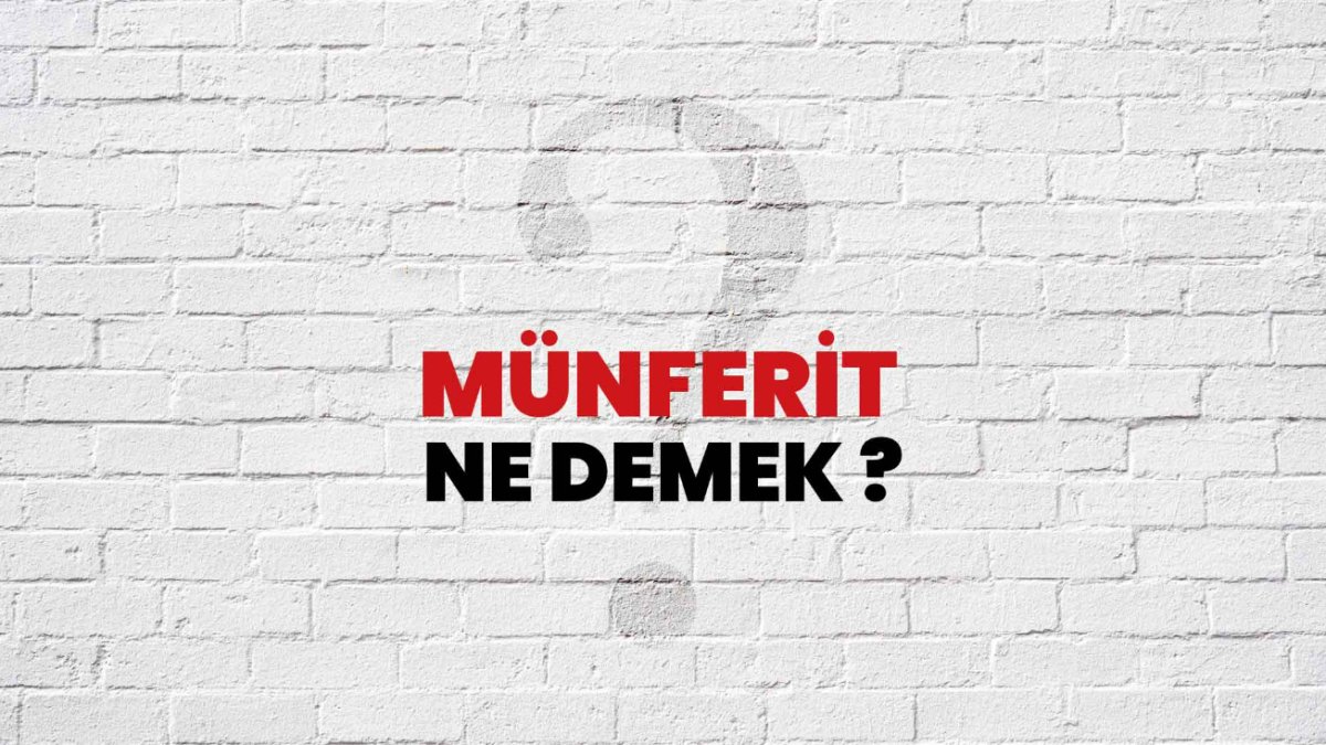 Münferit Ne Demek? Türkçede Sıkça Karşılaşılan Bir Kelimenin Anlamı