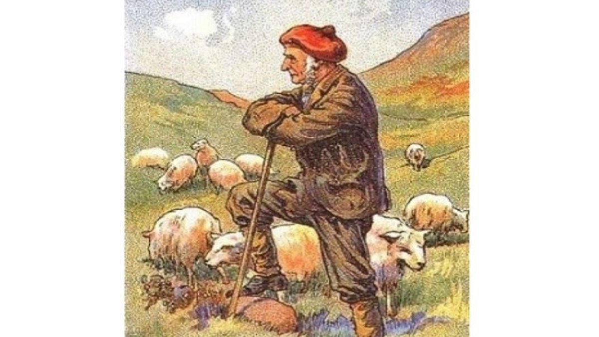 Çita gibi hızlı olanlar gizli köpeği 15 saniyede görüyor! Yüzde 90’ı bulamıyor