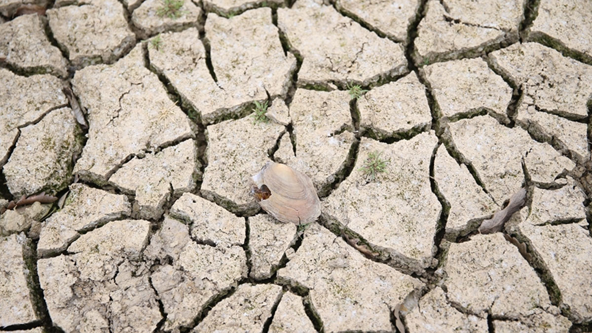 Türkiye için kuraklık alarmı: Su kıtlığına doğru sürükleniyoruz