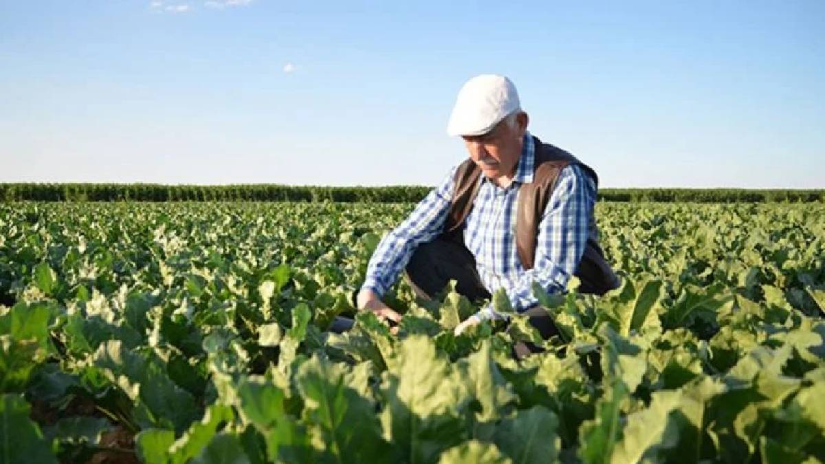Çiftçi Kayıt Sistemi’nde değişim! Hem üreticiyi hem alıcıyı ilgilendiriyor! O kişilerde ödeme alabilecek