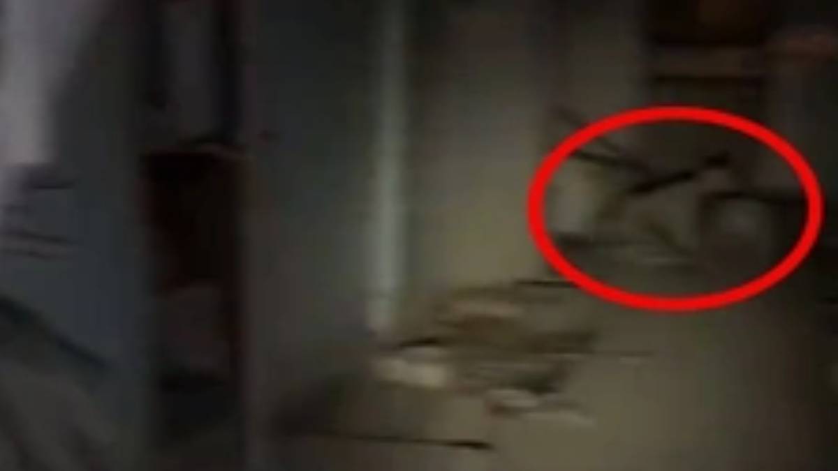 Karanlık evden çıkanı görünce aklınızı kaybedeceksiniz! Birden hareket edince Allahu Ekber Allahu Ekber diye bağırdı