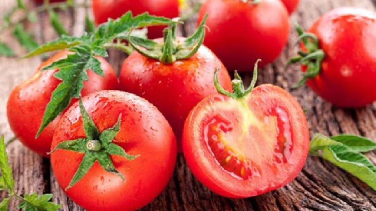 İçi beyaz sert domatesin nedeni buymuş! Domatesi mutlaka böyle saklayın: Sulu ve daha lezzetli olacak