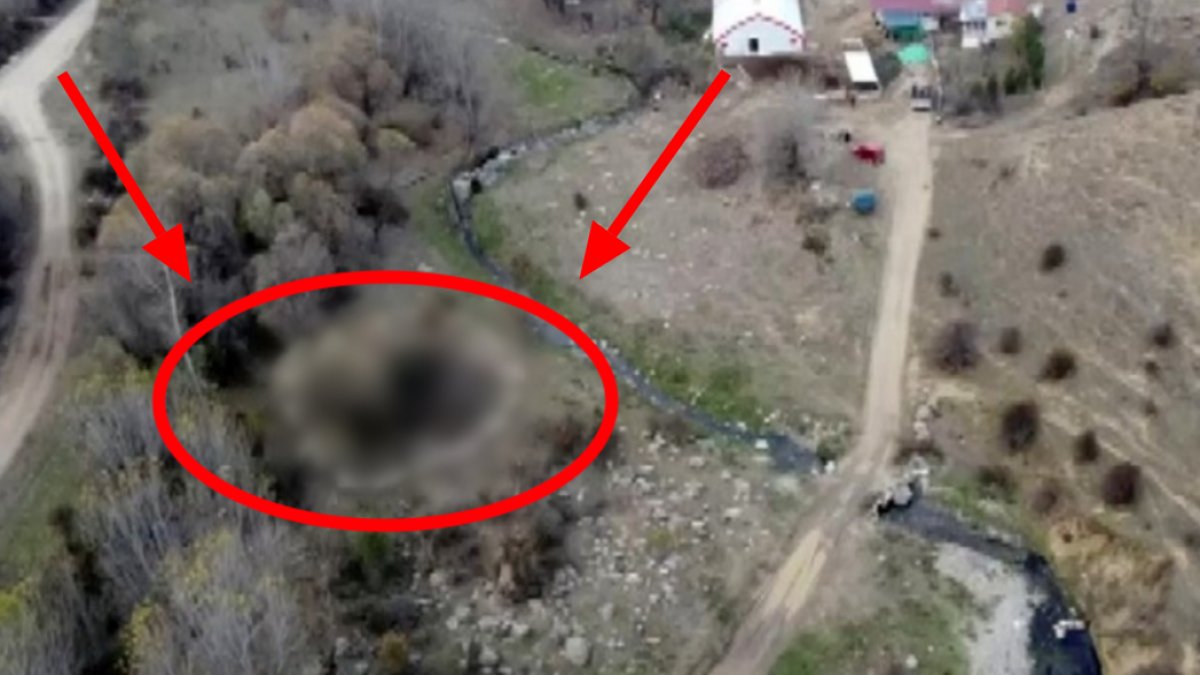 En son Çin'de görülmüştü! Şimdi de Türkiye'de rastlandı: Eğer bozulmazsa ölümler başlıyor