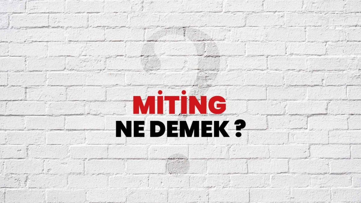 Miting Ne Demek?