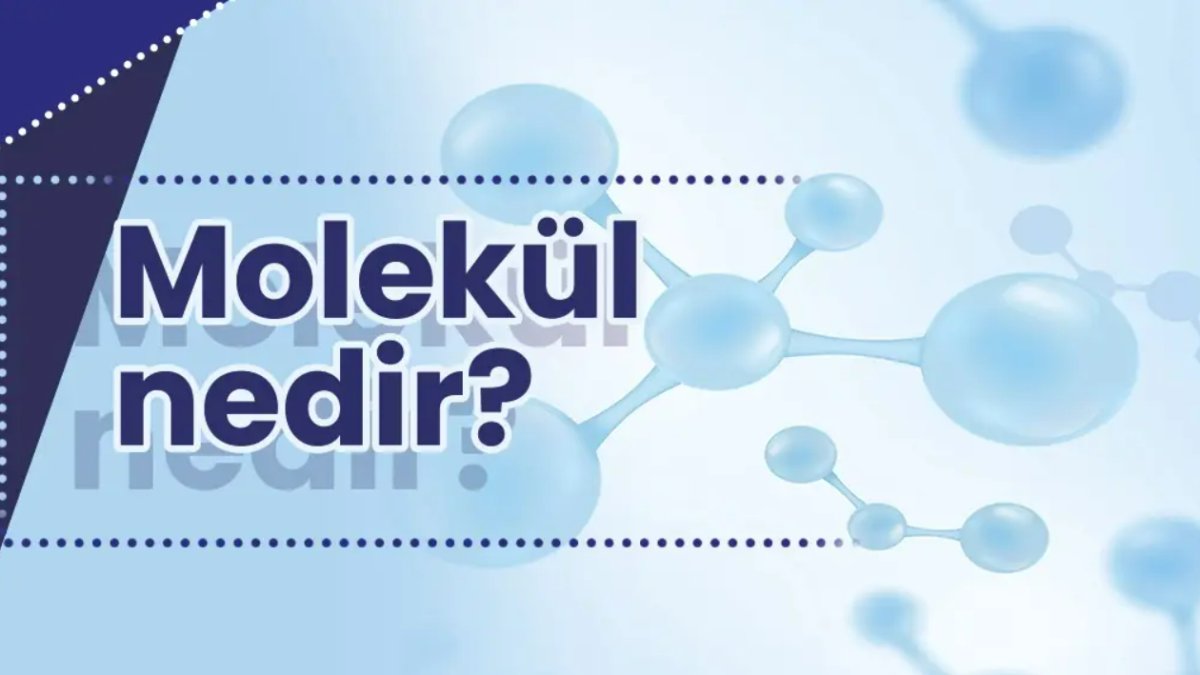Molekül Nedir?