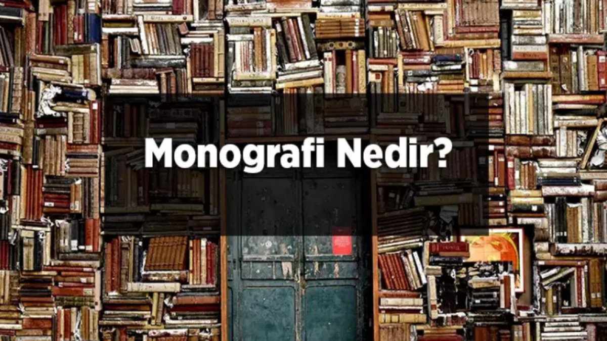 Monografi Nedir: Akademik Dünyada Derinlemesine İnceleme