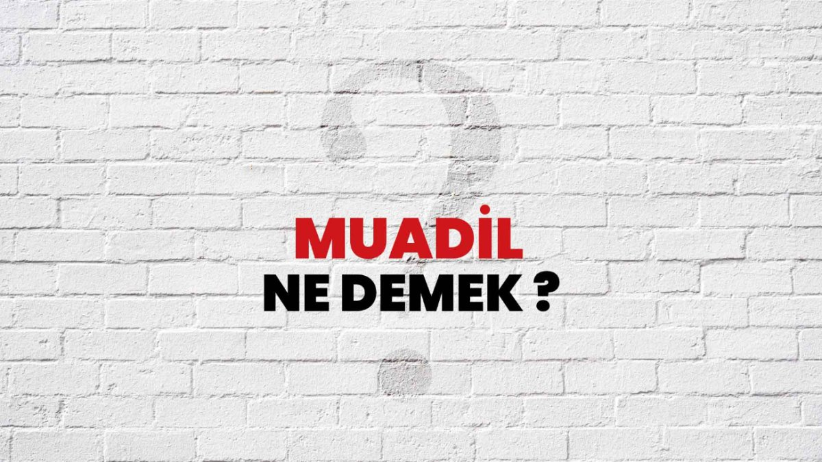 Muadil Ne Demek Anlamı ve Örnekler