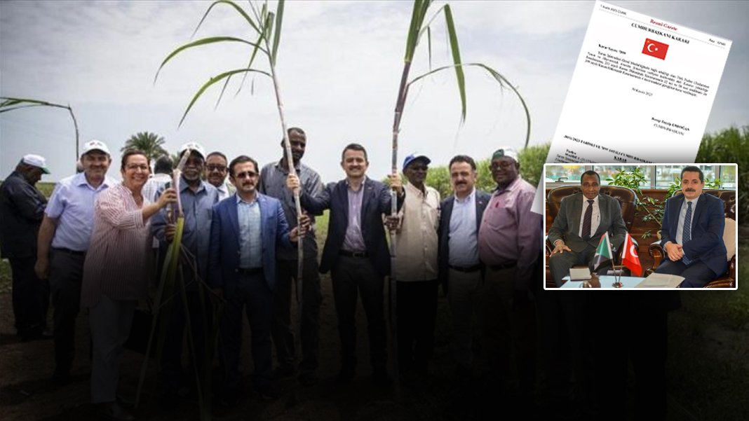 Vizyon projesi olarak duyurulmuştu: Sudan'da tarım hayali kararname ile sona erdi