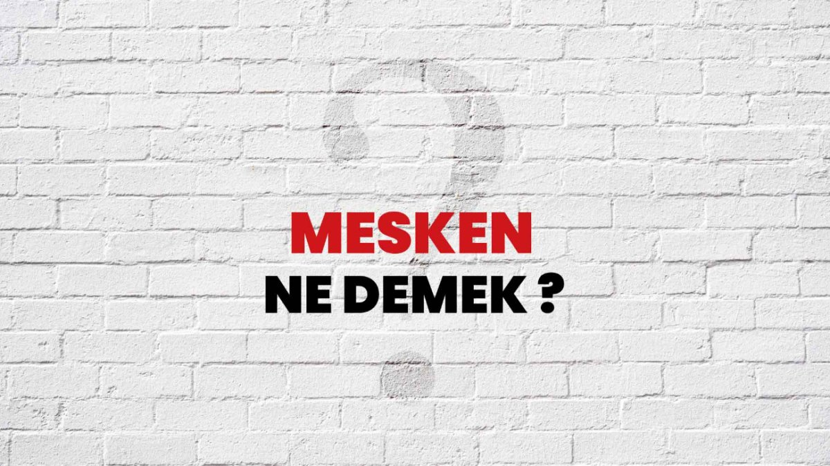 mesken-ne-demek-t-rk-ede-ev-anlam