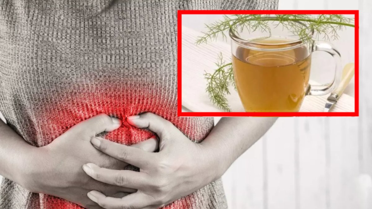 Hazımsızlık sorunu olanlar mutlaka 1 fincan içmeli! O çay bağırsakları anında çalıştırıyor