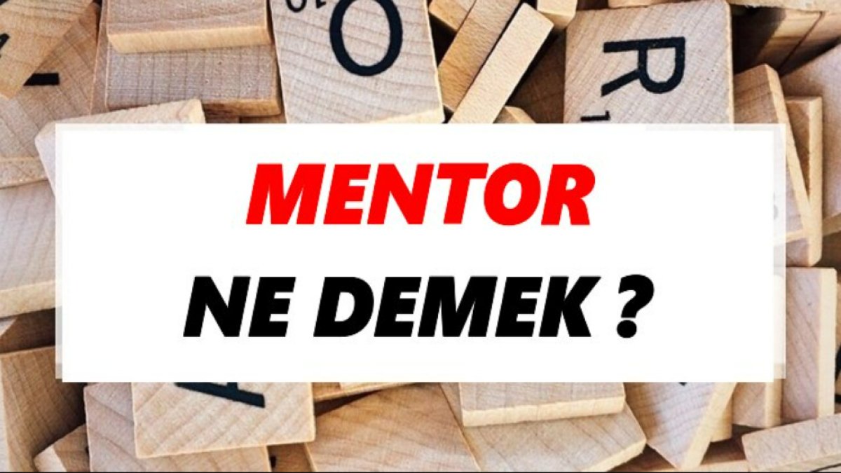 Mentor Ne Demek? - Kılavuzluk ve Öğrenme Sanatı