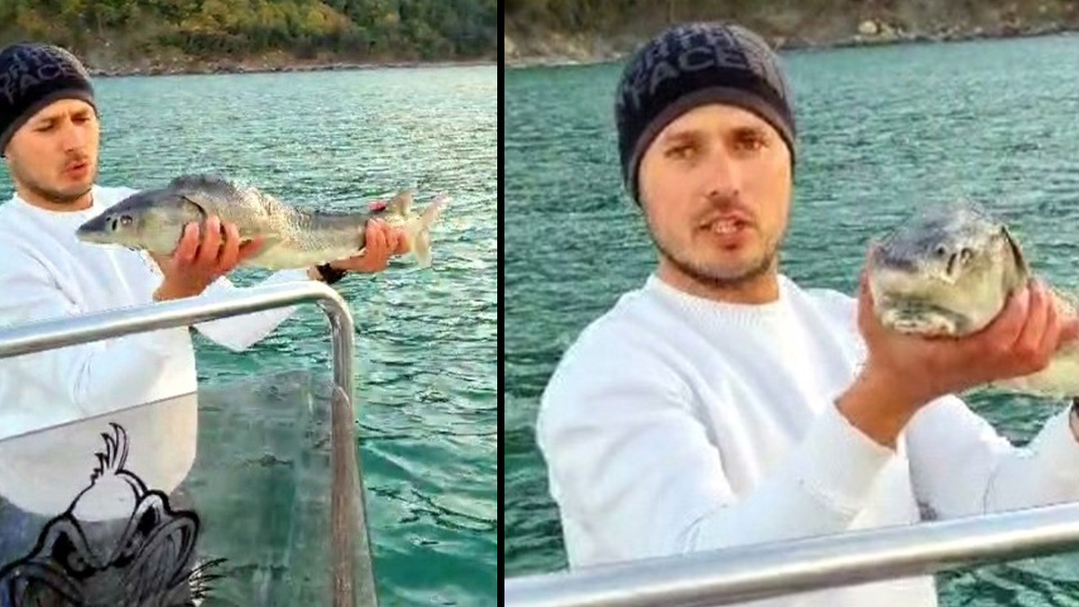 Örnek davranış! Nesli tükenmekte olan 2 milyon TL’lik balığı denize bıraktı