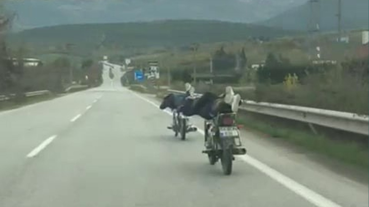 Kameralara böyle yansıdı! Motosikletin üzerinde ölümle dans ettiler