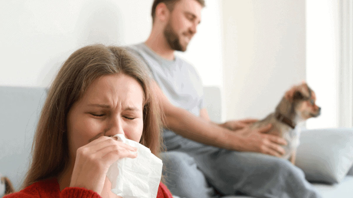 Evcil hayvanlara alerjisi olanlara hemen bunları yapsın! Alerjiyi anında kesiyor, hayvan sevmeye engel kalmıyor