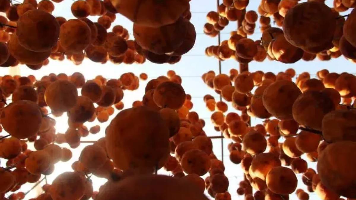 Hakkari’de olmaz dediler, imkansız görüneni başardılar! Irak’ın sıfır noktasında mucize üretim: Şimdiden talep rekoru kırıyor