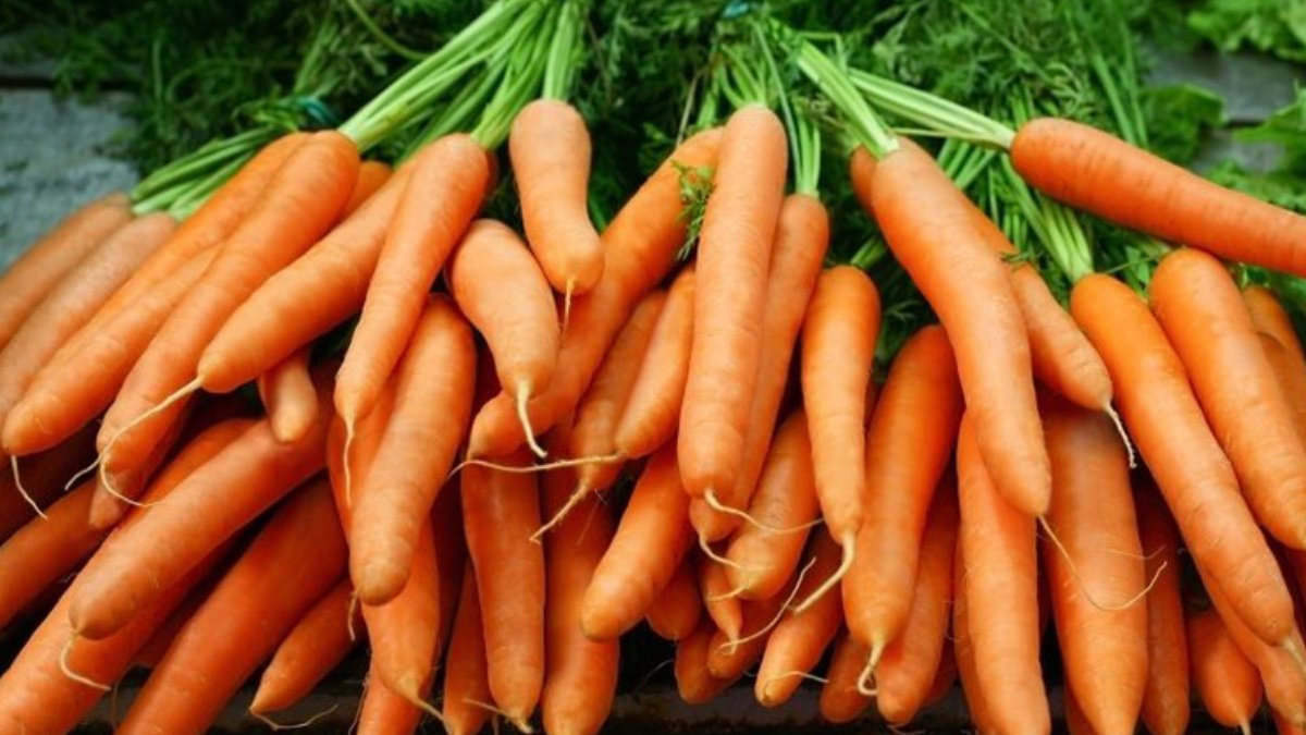 Her sabah aç karnına iki havuç yiyin: Tam bir mucize! Taş gibi yapıyor, psikolojiyi de olumlu etkiliyor