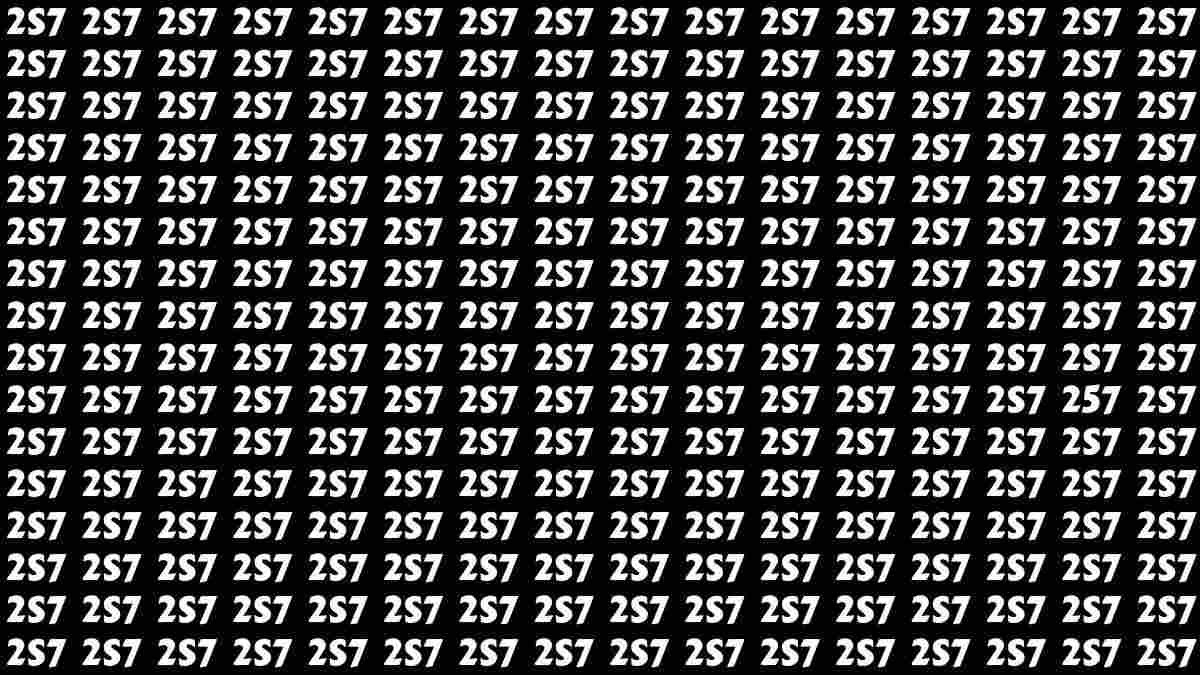 257 sayısını 8 saniyede bulun! İnsanların sadece %1'i bu optik illüzyon bulmacasını başarıyla geçti...
