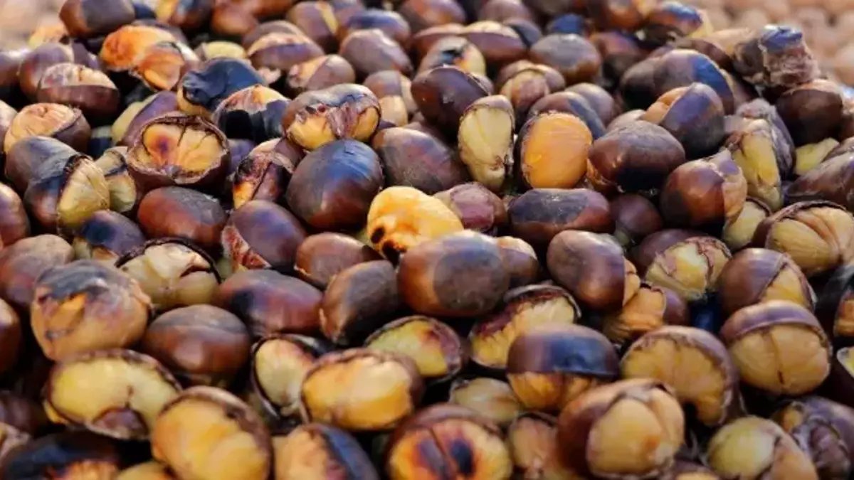 Kışın vazgeçilmezi kestaneyi sadece 13 dakikada pişirmenin yöntemi bulundu: İşte airfryerda kestane pişirme yöntemi...