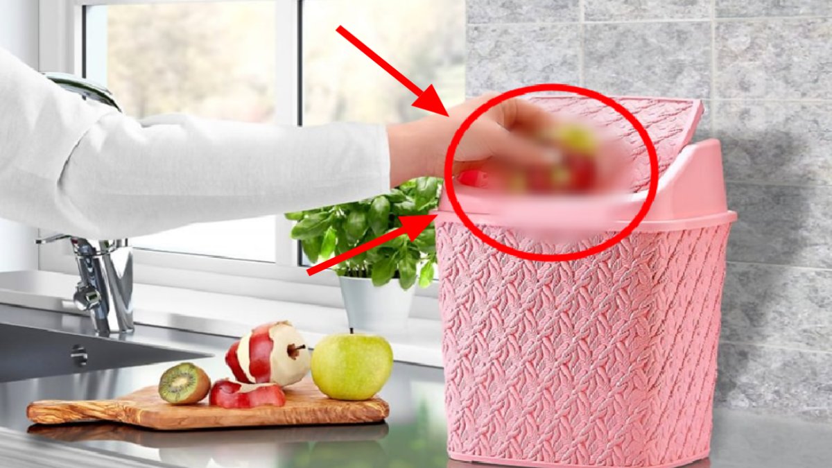 O meyveyi tüketenler kabuğunu attığına pişman olacak! Meğer tüm vitamini kabuğundaymış