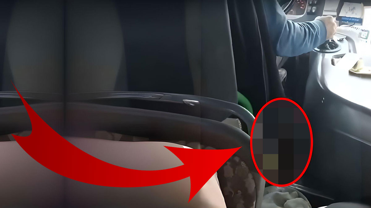 Otobüse binen yolcular, şoförün yanına bakınca şoke oldu! Bunun burada ne işi var?