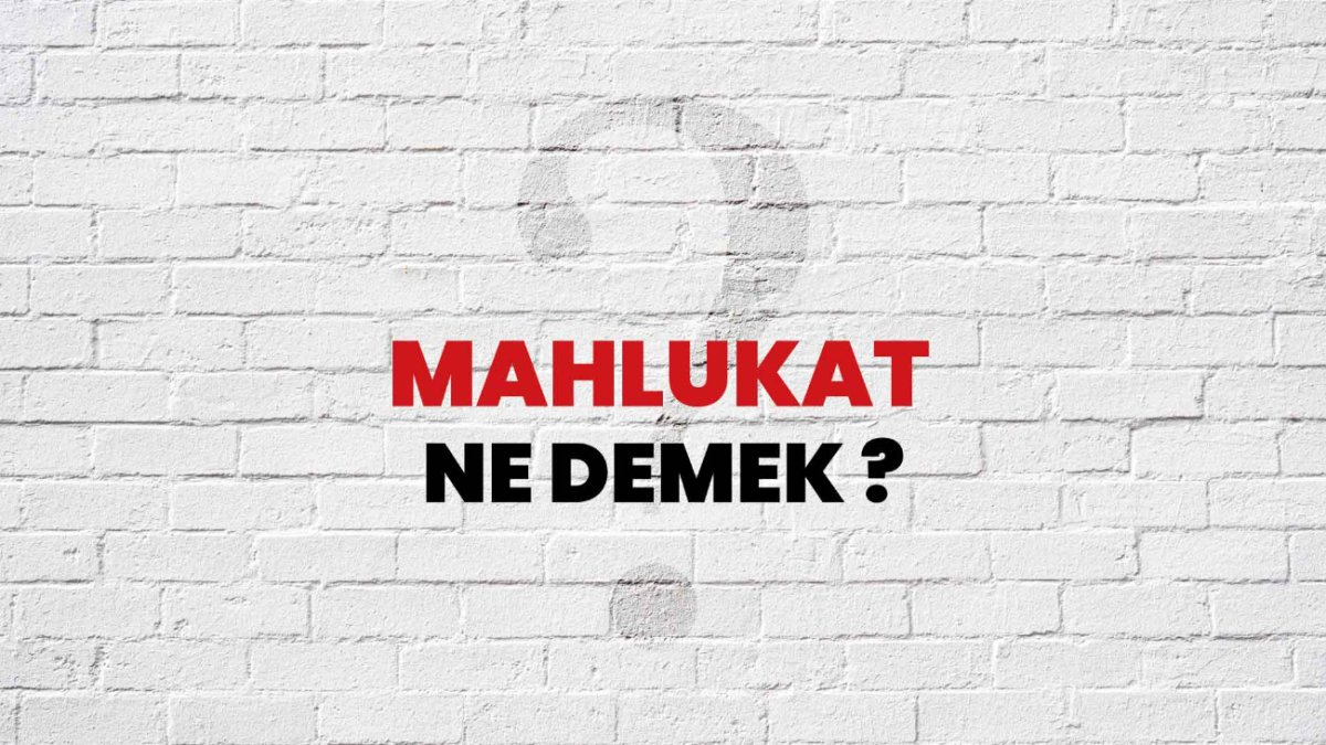 Mahlukat Ne Demek?