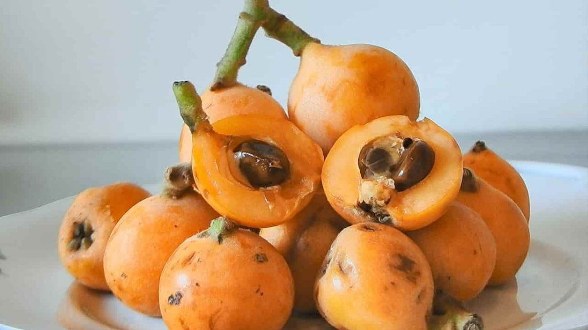 Malta Eriğinin Faydaları: Sağlığınıza Katkı Sağlayan Muhteşem Bir Meyve