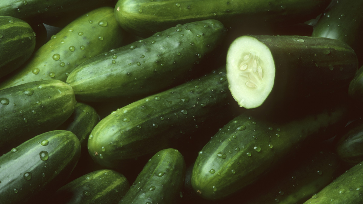 Yatmadan önce bir kaç dilim salatalık yiyin sabahları mucizeye tanık olun! Bağımlısı olacaksınız