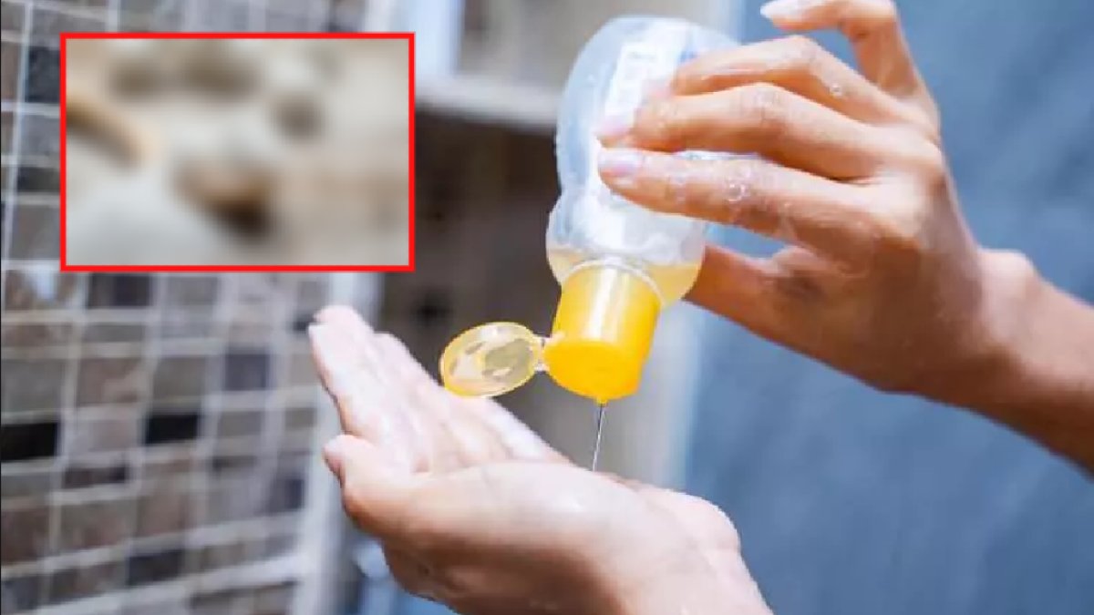 Tek bir kaşığıyla saçlarınız kuaförden çıkmış gibi olacak! Her evde bulunan o malzemeyi bir kaşık ekleyin ve bakımı görün