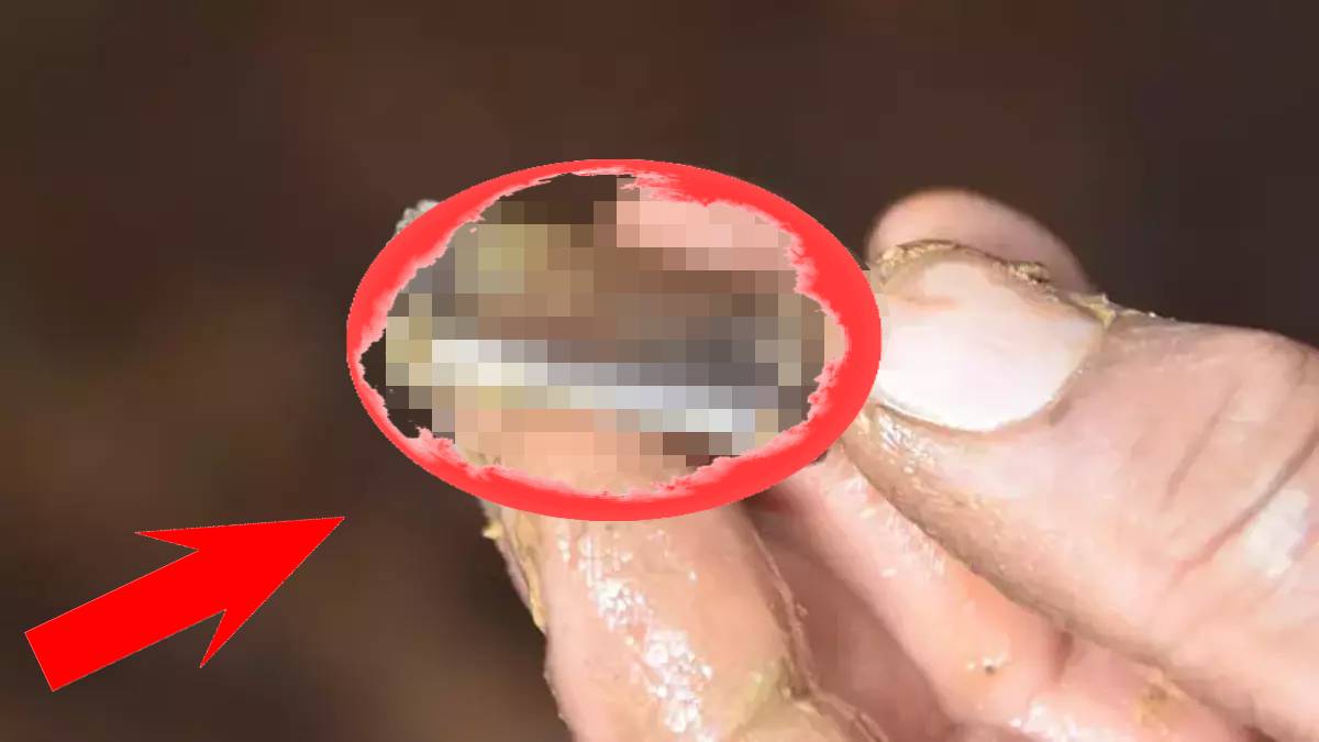 O ilimizin toprağı resmen altın! Bu maden sadece oradan çıkıyor, fiyatı 100 bin dolar: Altını bile solda bırakıyor