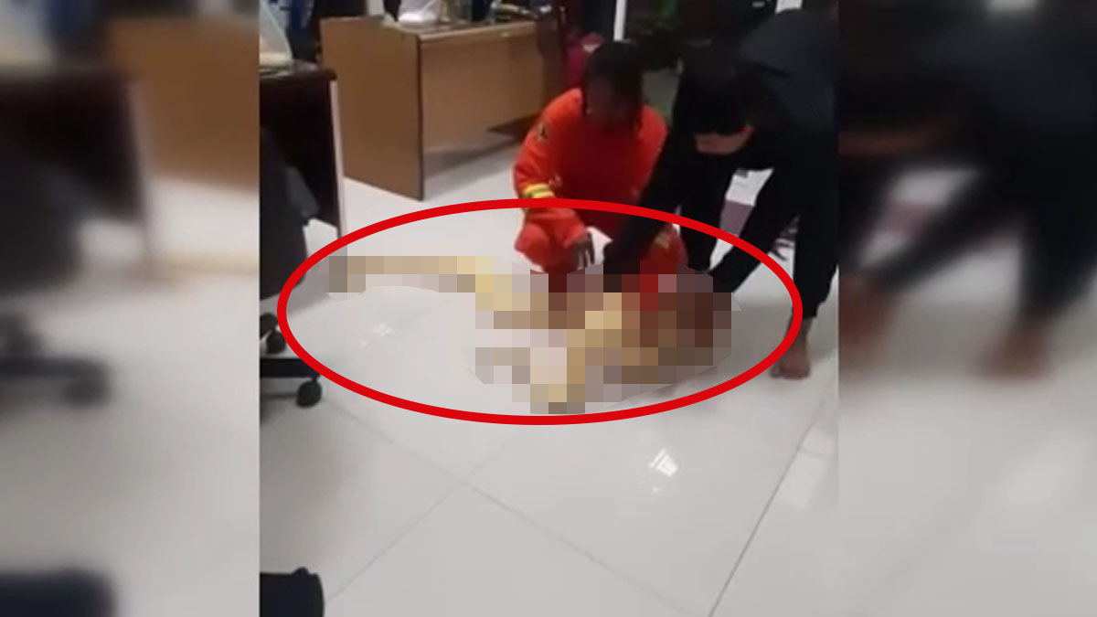 4 metrelik albino piton dehşeti! Ekipler harekete geçince ortaya çıktı: Koca yılanı evinde kedi gibi besliyormuş