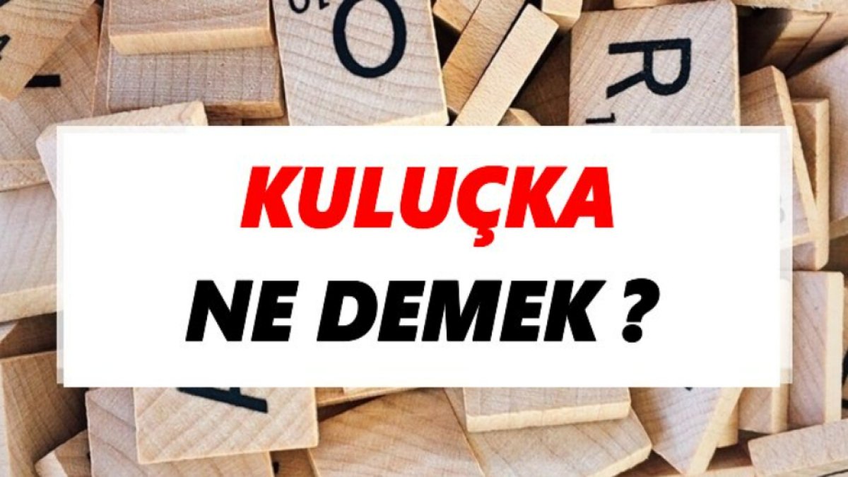 Kuluçka Nedir: Kuşlarda ve Sürüngenlerde Üreme Süreci
