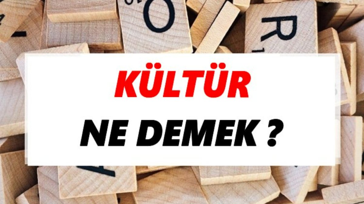 Kültür Nedir: İnsan Toplumlarının Temel Taşı