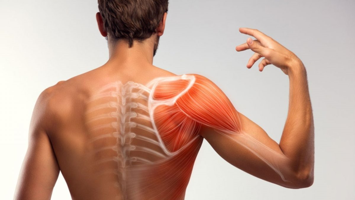 Kürek Kemiği Ağrısı: Sebepleri, Tedavileri ve Önleme Yolları
