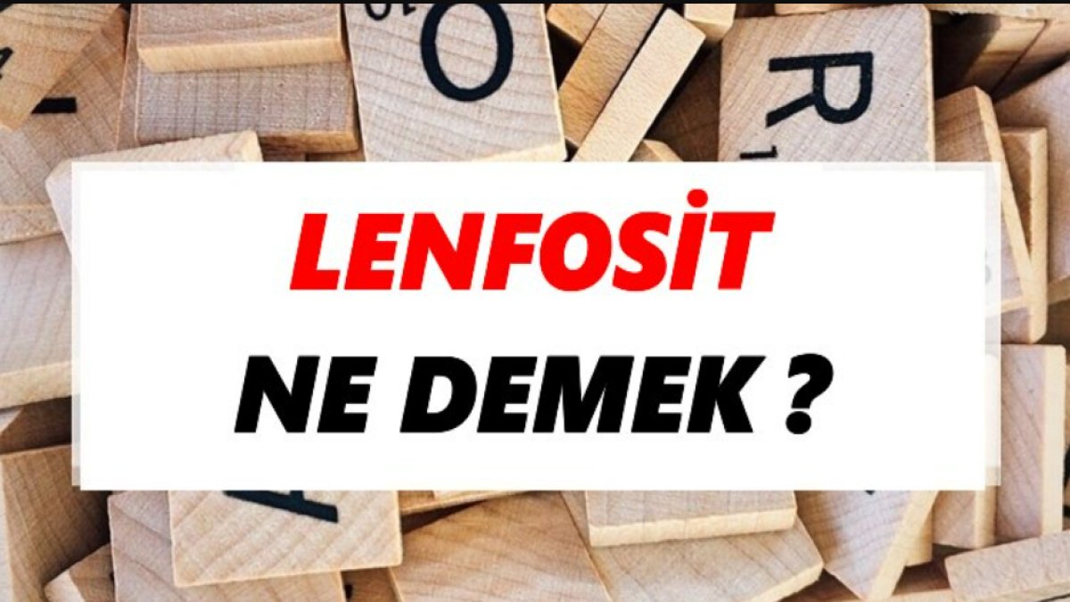 Lenfosit Nedir?