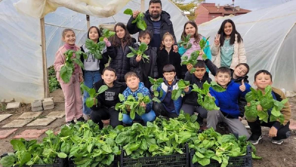 Bu hasat diğerlerinden farklı! Eken de toplayan da çocuklar: Bölge halkı çocuklar sayesinde hem eğlendi hem kalkındı