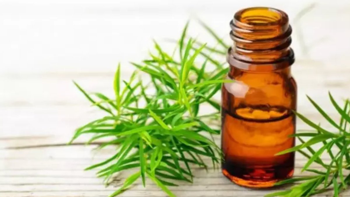 Hint yağı saça faydaları