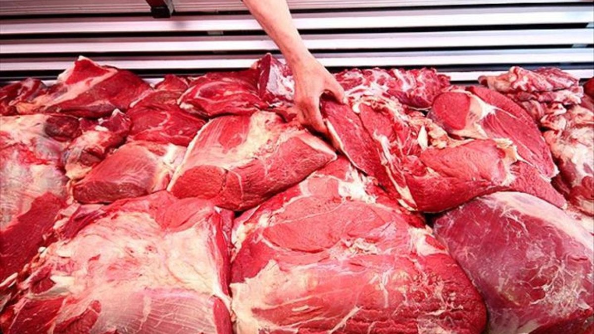 Kırmızı etten değerli ve bin kat faydalı! Hasadı başladı