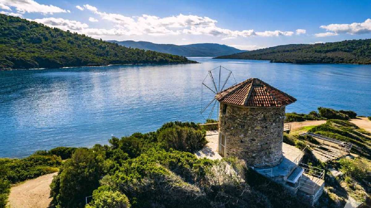 İşte Türkiye'nin en yaşlısı! Yaşını öğrenenler kulaklarına inanamıyor... Turistler akın akın onu görmeye gidiyor