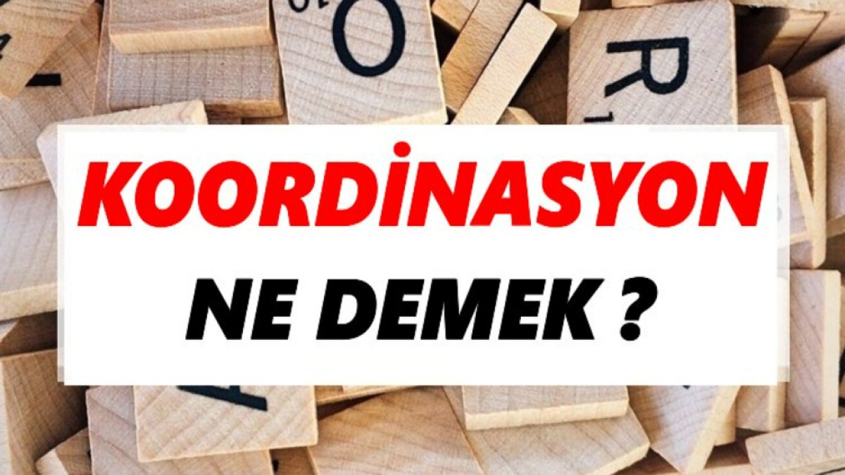 Koordinasyon Nedir: İşbirliğinin Temeli