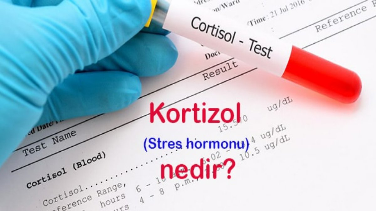 Kortizol Nedir? Vücudumuzdaki Stres Hormonu