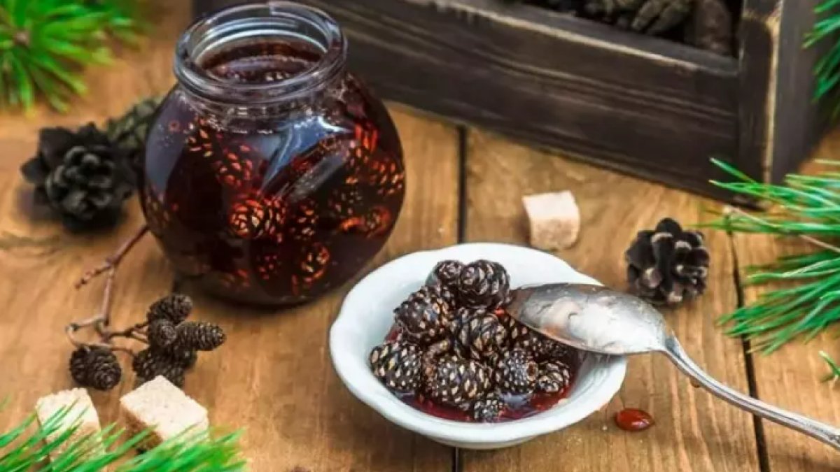 Kozalak Şurubu Faydaları: Doğanın İyileştirici Dokunuşu