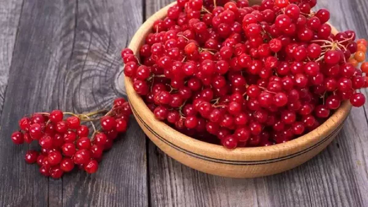 Bu meyve karşısında bilim insanları bile önünü ilikledi! Sağlığa faydaları saymakla bitmiyor... Bu bir "gençlik iksiri"