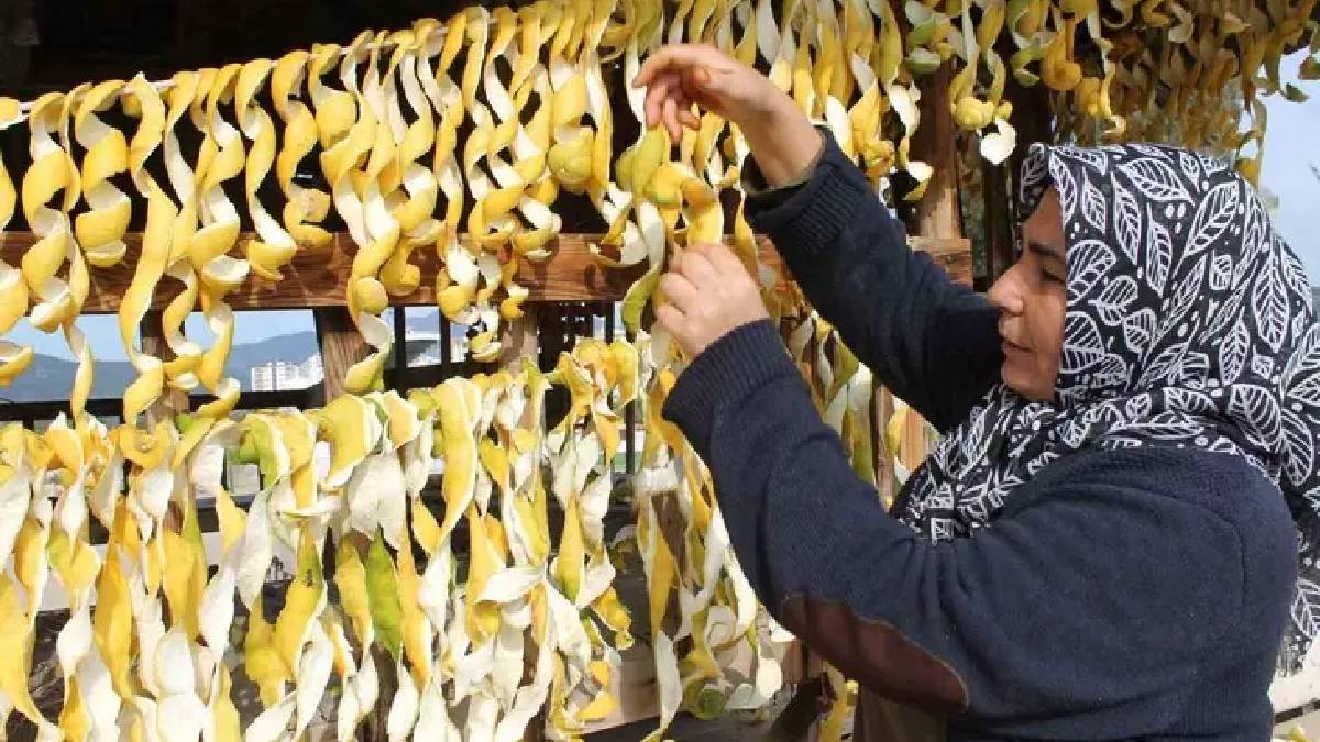 Çöpe atmaya kıyamadı kabuğunu soyup balkonuna astı! Kendisi 30 kuruş kabuğu 17 TL! 4 ton kabukla parayı buldu