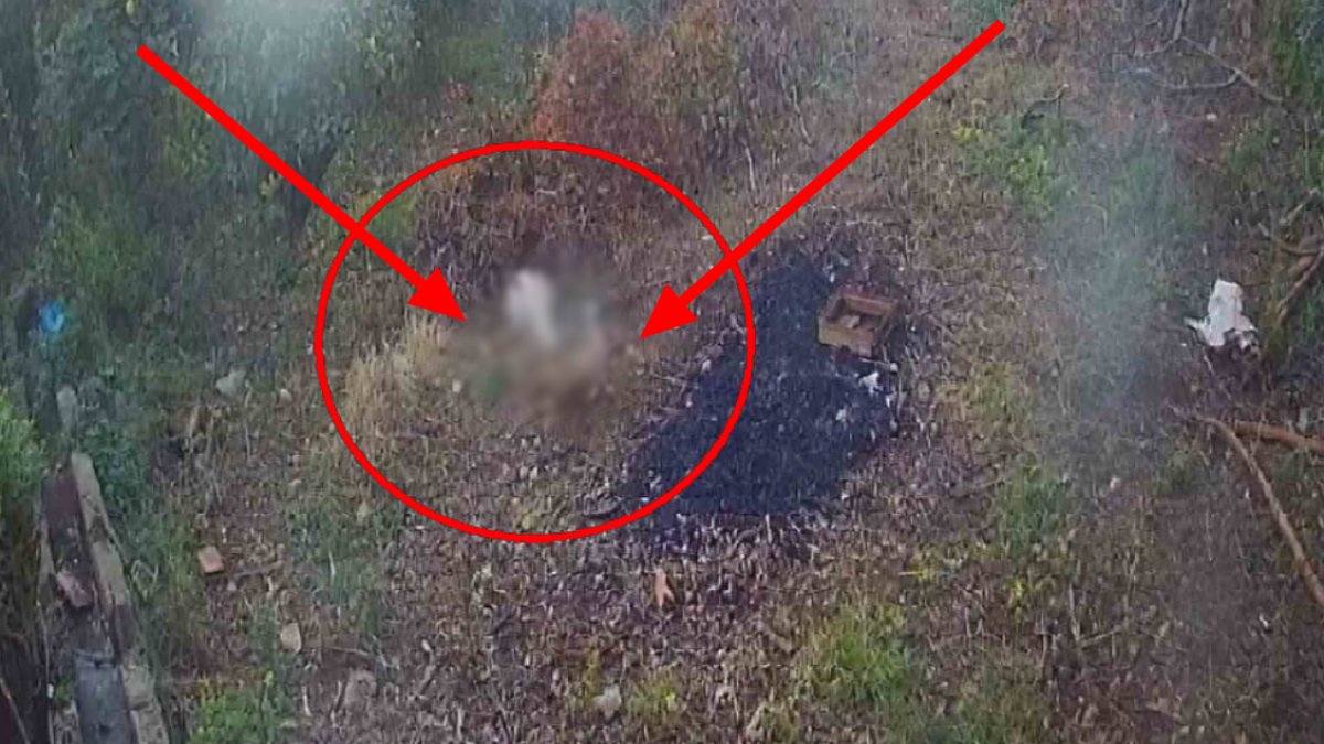 50 tavuğu ortadan kayboldu! Neye uğradığını şaşırdı: Gerçek kamera kaydıyla ortaya çıktı