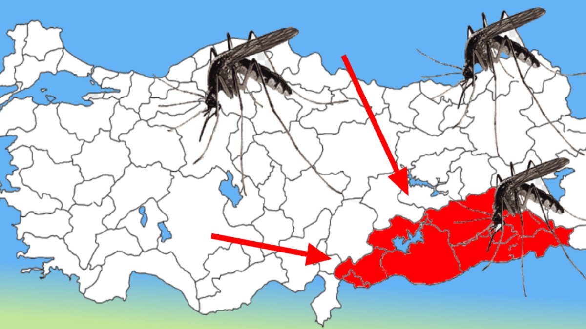 Türkiye'nin başında yeni felaket! Uzmanlar o illere sıtma uyarısı yaptı, Şanlıurfa, Gaziantep, Diyarbakır, Mardin...