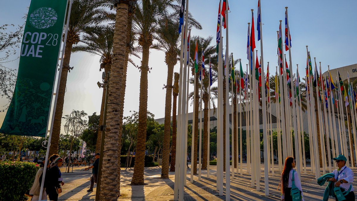 COP28'den bugün neler çıktı? Taahhütler ihtiyacı karşılamaktan uzak