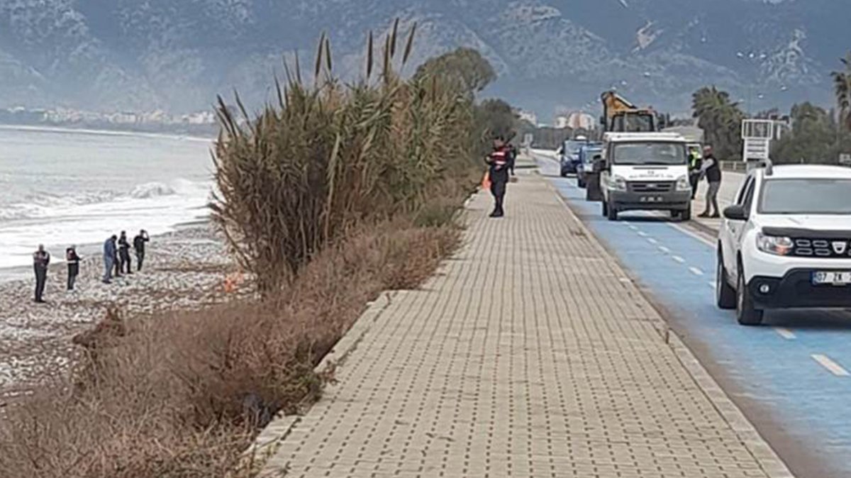 Sahilde şoke eden görüntü